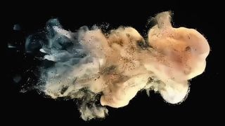 東芝 現像剤パウダー D5070 e-STUDIO用 500g